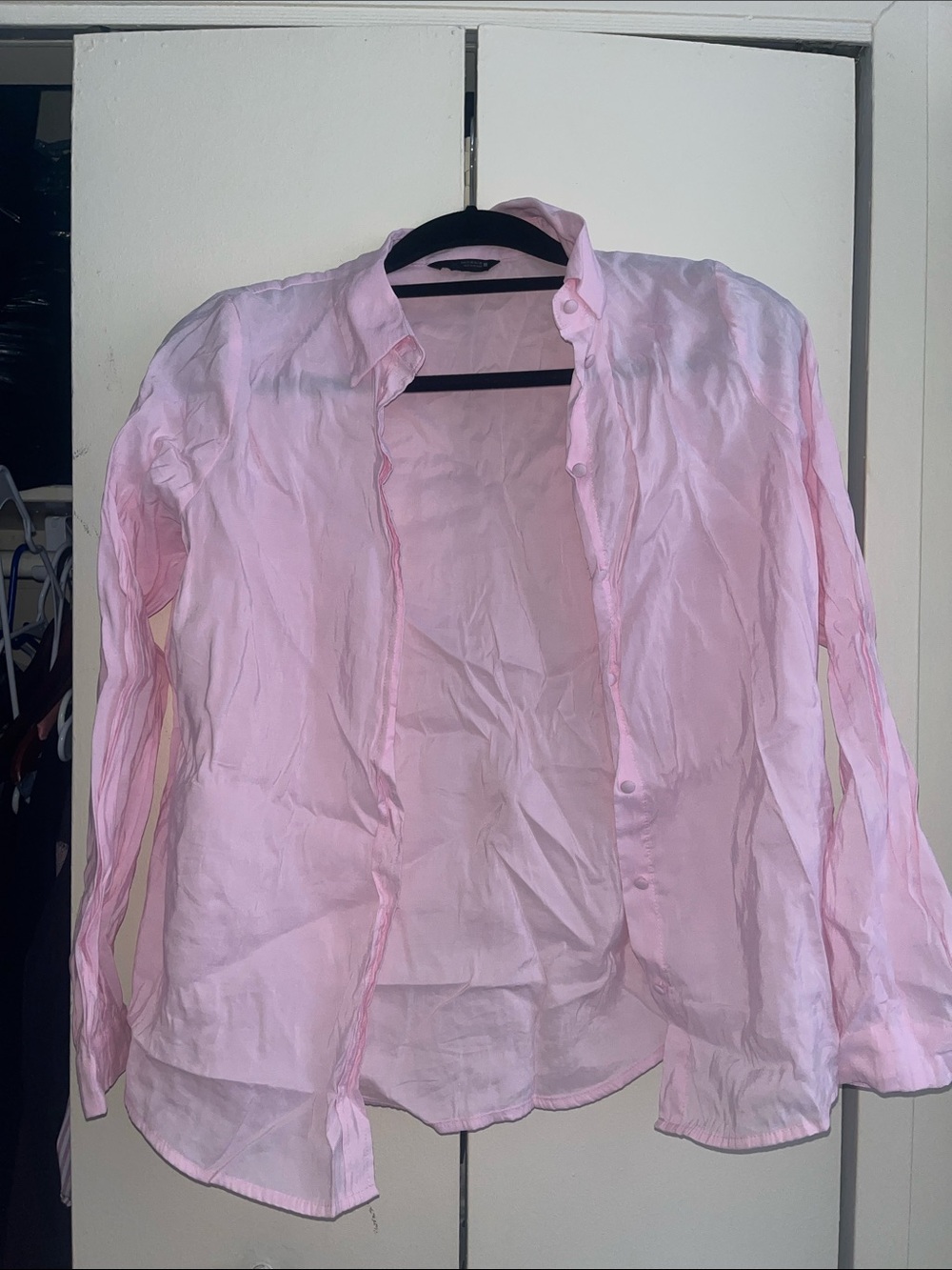 Zara Light Pink Sheer Button-Down Blouse